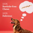 thumbnail image 4 of DreamBone Grill Masters T-Bones With Real Chicken, Small, Rawhide-Free Chews, For All Dogs 1.8lb, 4 of 6