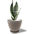 thumbnail image 3 of Maceta Ceramica de 25.4 cm con Drenaje y bandeja gris Elly Decor ED-MCD01BK, 3 of 6