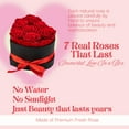 thumbnail image 3 of Festive Find Store Heart Box with 7 Preserved Real Roses, Valentines Gift, 3 of 7