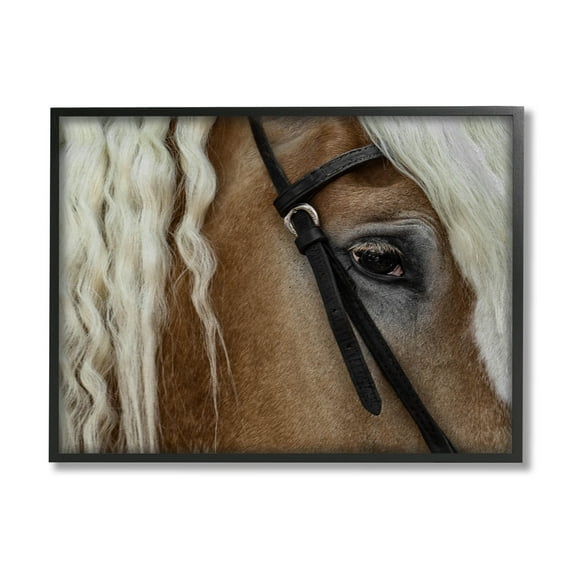 Stupell Industries Blonde Palomino Horse Portrait Photograph Black Framed Art Print Wall Art, Design by David Lorenz