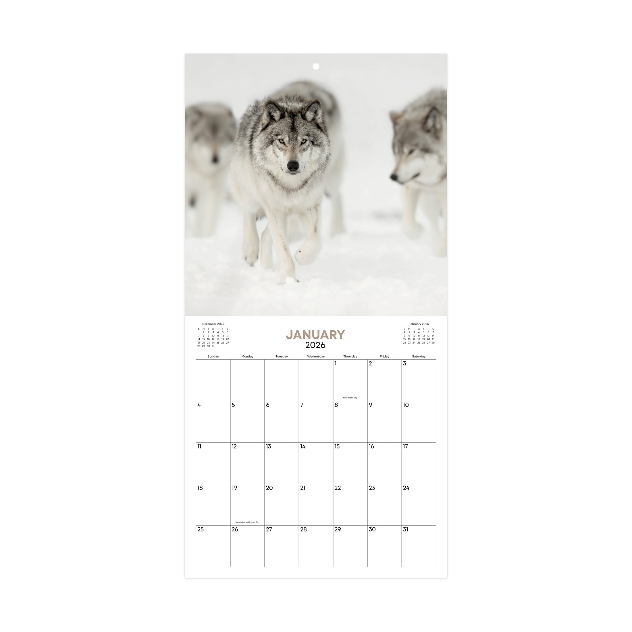 Blue Sky Monthly Stapled Calendar 12" x 12" Wolves (Jan 2026 - Dec 2026)