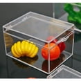 thumbnail image 3 of Clear Plastic Box Rectangular Insect Specimen Display Desktop Storage Boxes, 3 of 8