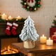 thumbnail image 5 of Mini árbol de Navidad artificial nevado | Decoración realista de pino nevado para mesa | Centro de mesa navideño compacto para repisas y escritorios, 5 of 5