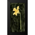 thumbnail image 2 of Caroline, Emma 11x18 Black Modern Framed Museum Art Print Titled - Dark Daffodils I, 2 of 5