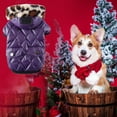 thumbnail image 4 of Dog Clothes Winter Casual Warm Two Feet Clothes Teddy Myna Padded Jacket L, 4 of 6