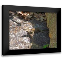 Popcorn 14x12 Black Modern Framed Museum Art Print Titled - Lizard V