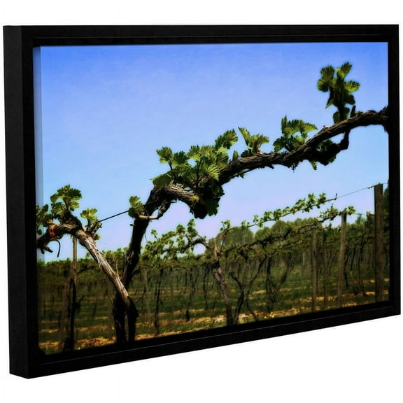 ArtWall Kevin Calkins "Spring Vineyard" Gallery-Wrapped Floater-Framed Canvas