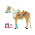 thumbnail image 1 of Cheval My Life As de 18 po, 1 of 2