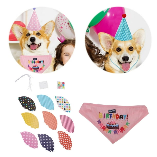 Dog first birthday hat hotsell