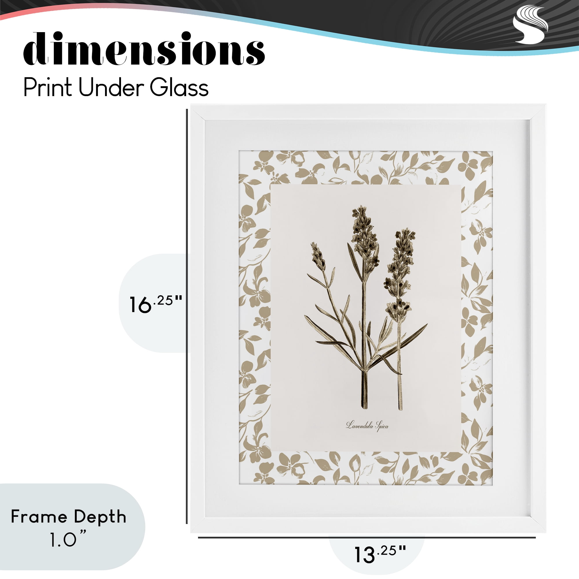Stupell Industries Neutral Imperial Herb Study White Framed Print Under Glass, design by Kelly Donovan