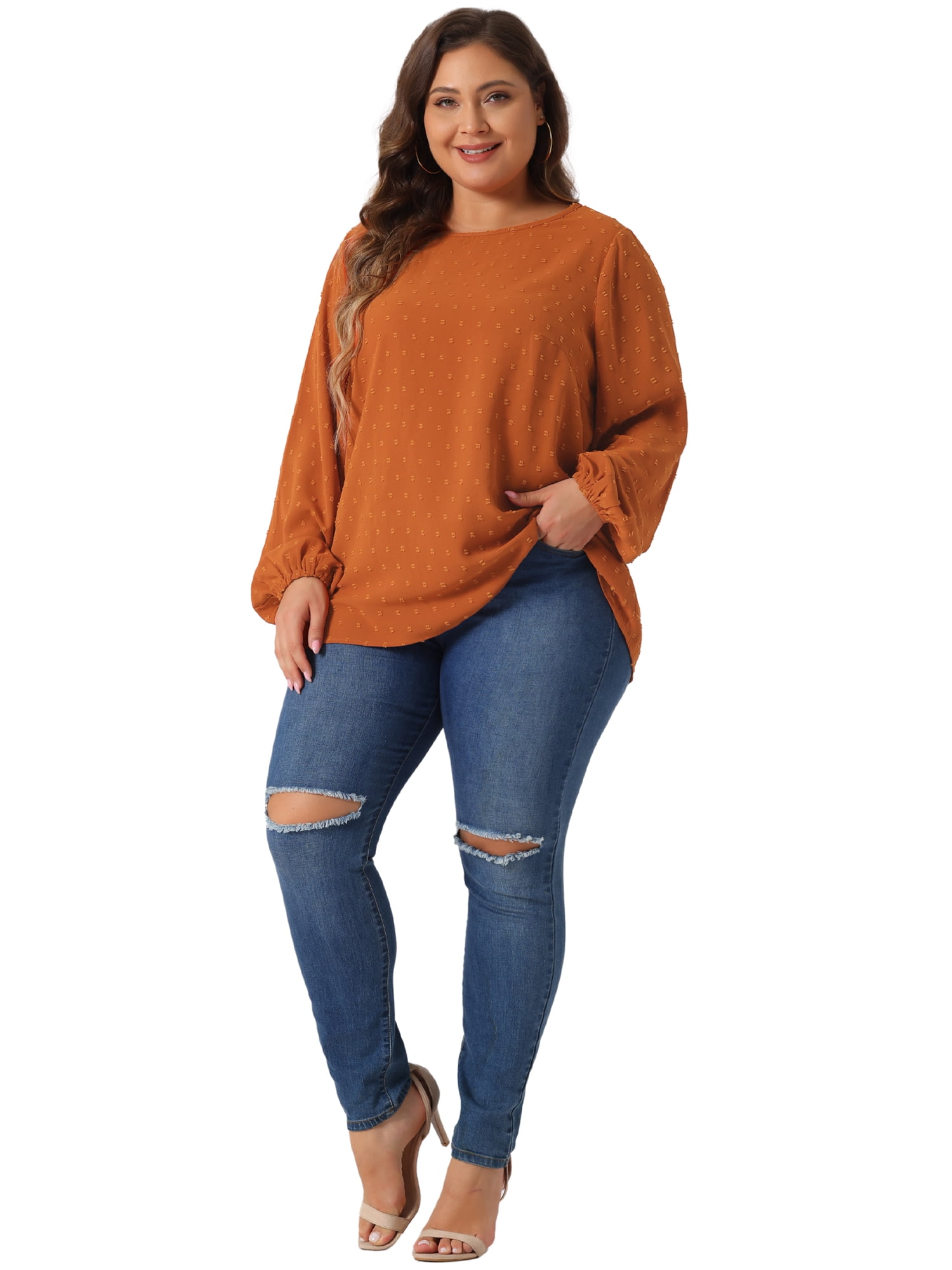 DARING DIVA Women's Plus Crewneck Chiffon Swiss Dots Shirts Top 1X Caramel