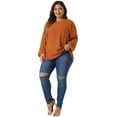 thumbnail image 3 of DARING DIVA Women's Plus Crewneck Chiffon Swiss Dots Shirts Top 3X Caramel, 3 of 6
