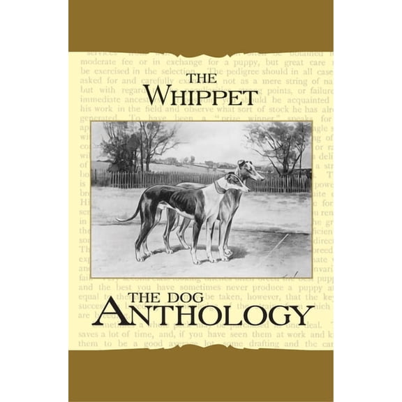The Whippet - A Dog Anthology (a Vintage Dog Books Breed Classic), (Paperback)