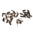 thumbnail image 2 of Gancho de Pestillo de Metal Vintage en Tono Bronce, Cerraduras decorativas para Cajas de, Herrajes para Joyeros con tornillos para caja de, Caja de Herramientas, 2.13 "x, 2 of 7