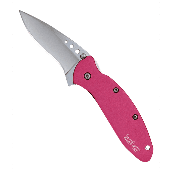 Kershaw Knives 1600PINK Pink Chive Spring Assist Knife KER-1600PINK