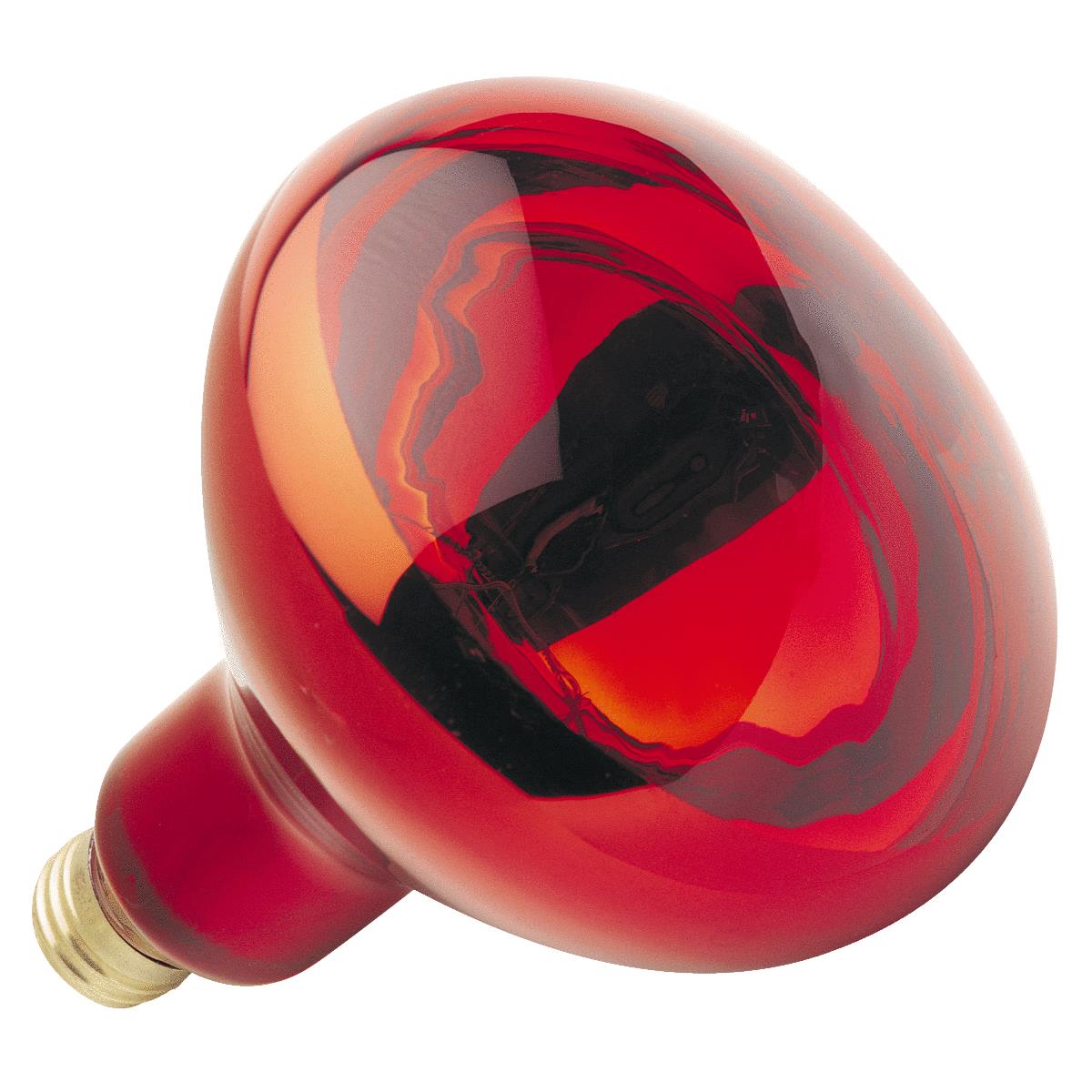 Philips BR40 Heat Light Bulb