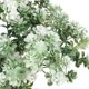 thumbnail image 3 of Decoración de resina para acuarios, delicada planta de acuario, árbol artificial decorativo, suministros para acuarios., 3 of 8