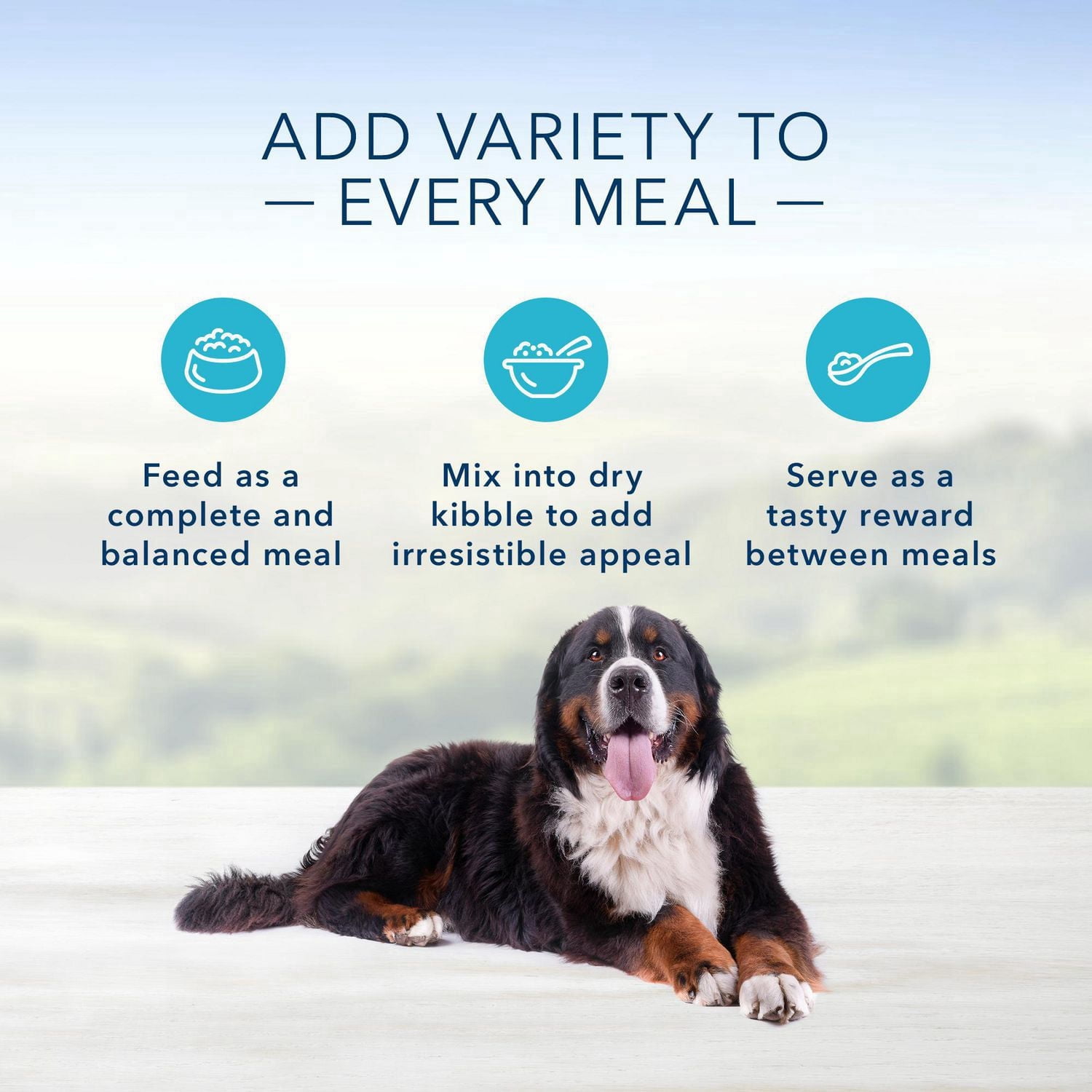 Blue Buffalo Homestyle Recipe Large Breed Chicken Dinner Wet Dog Food
