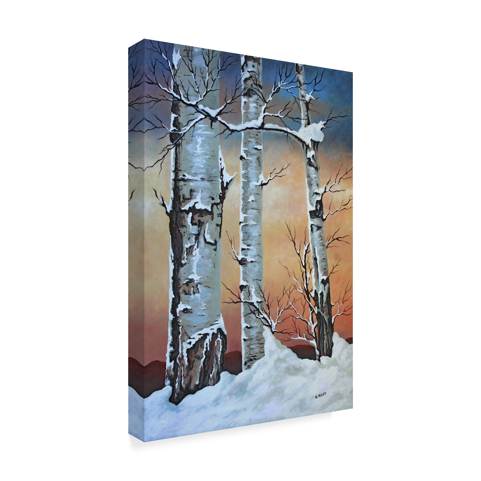 Trademark Fine Art 'Winter Sunset Behind Trees' Canvas Art by Carol J Rupp