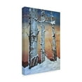 thumbnail image 2 of Trademark Fine Art 'Winter Sunset Behind Trees' Canvas Art by Carol J Rupp, 2 of 3