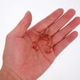 thumbnail image 4 of unbranded 50Ud Trufas Para Ramo Con Funda Plástica Resistente Para Uso En Cumpleaños Y Bodas, 4 of 6