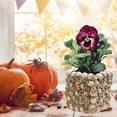thumbnail image 2 of Contenedor De Plantas, Diseño De Esqueleto Humano, Maceta, Jarrón, Casa De Jardín, Decoración De Halloween, Maceta De Hueso De Cabeza De Resina Kearding HA043867-02, 2 of 6