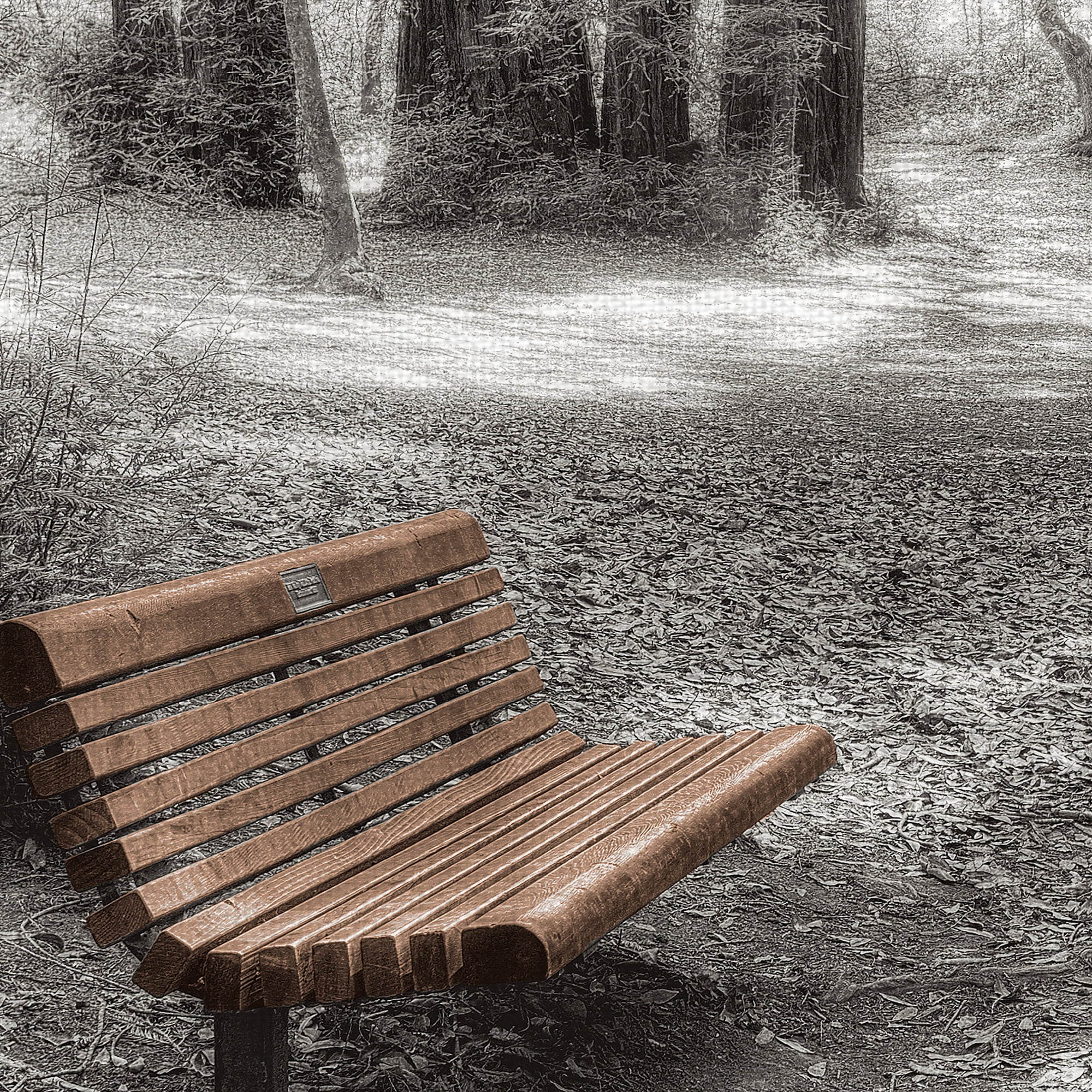 Masterpiece Art Gallery Old Mill Park Bench by Alan Blaustein Canvas Art Print 30" x 30"