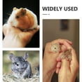 thumbnail image 5 of Guinea Pig Hideout House with Ramp Small Animal Maze Hut Habitat Accessories for Hamster, 5 of 5