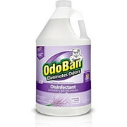 Clean Control Odoban Gal Lav Cleaner, 9.0 Pound