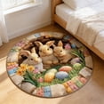 thumbnail image 4 of Fridja Clearance Easter Bunny Egg Faux Plushes Rocking Chair Rug and 3 D Imitation Living Room Sofa Rug and Round Carpet, 4 of 6