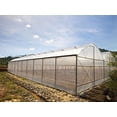 thumbnail image 4 of Gt4 6 Mil Uv Treated Standard Clear Greenhouse Film, 14' Wide X 25' Long, 4 of 7