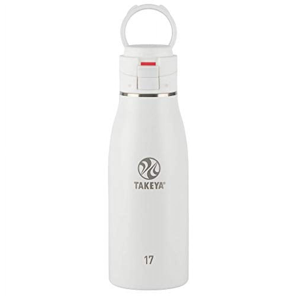 Takeya Traveler Insulated Coffee Mug with Leak Proof Lid, BPA Free, 17  Ounce, Mint