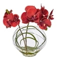 thumbnail image 5 of Vickerman 9.8" Artificial Red/Purple Butterfly Orchid In Glass Pot., 5 of 5