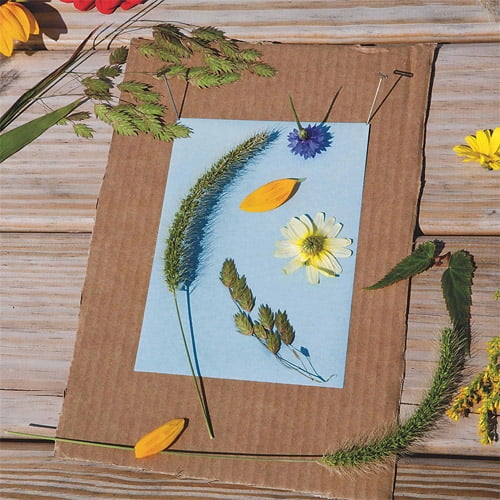 photo 5 By 7 Prints At Walmart nature print 5 x 7 paper 30pk