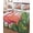 Pink Green, variant on Full Size Quilt Bedding Set, Flamingo Reversible Summer Quilt 3 Pieces, Summer Botanical Flowers Tropical Leaves Lightweight Bedspreads Coverlets with 2 Pillow Shams for All Seasons