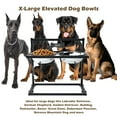 thumbnail image 3 of X-Large Elevated Dog Bowls for Extra Large Dogs with Mat,Raised Dog Bowl Stand for Large Breed Adjusable Height Dog Feeder with Two 3L(&eth;&eth;&, 3 of 5