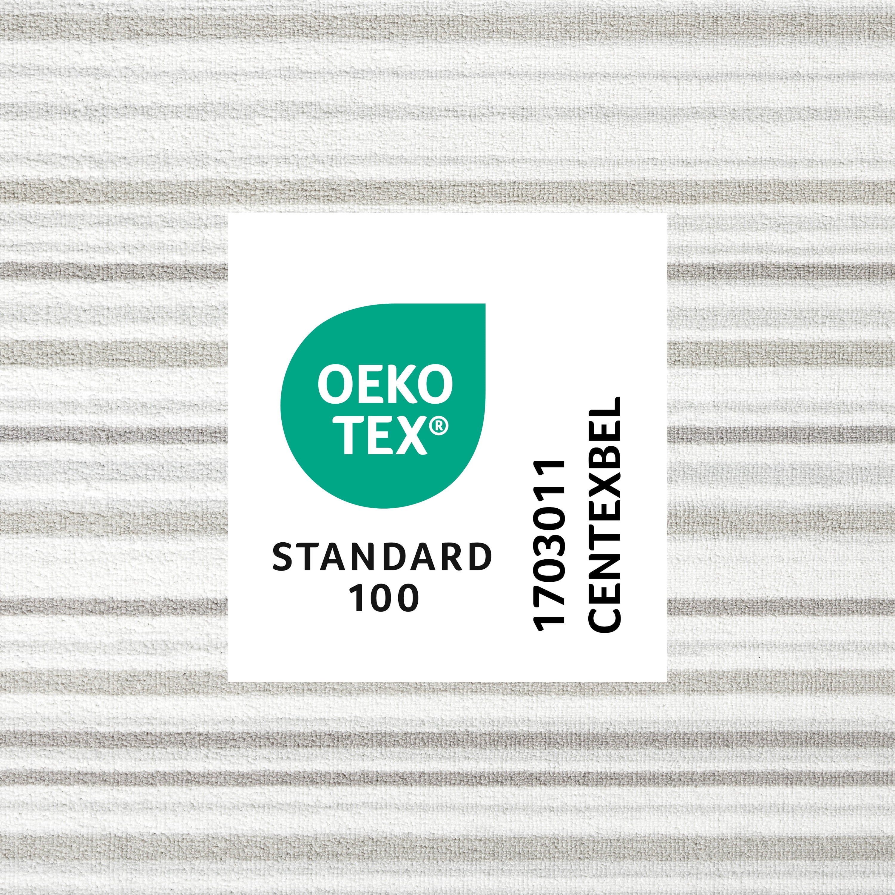 TOWN & COUNTRY BASICS Layne Modern Stripe Everwash® Washable Area Rug with Non-Slip Backing, Pet Friendly Rug, Silver/Grey, 5'2"x7'2"