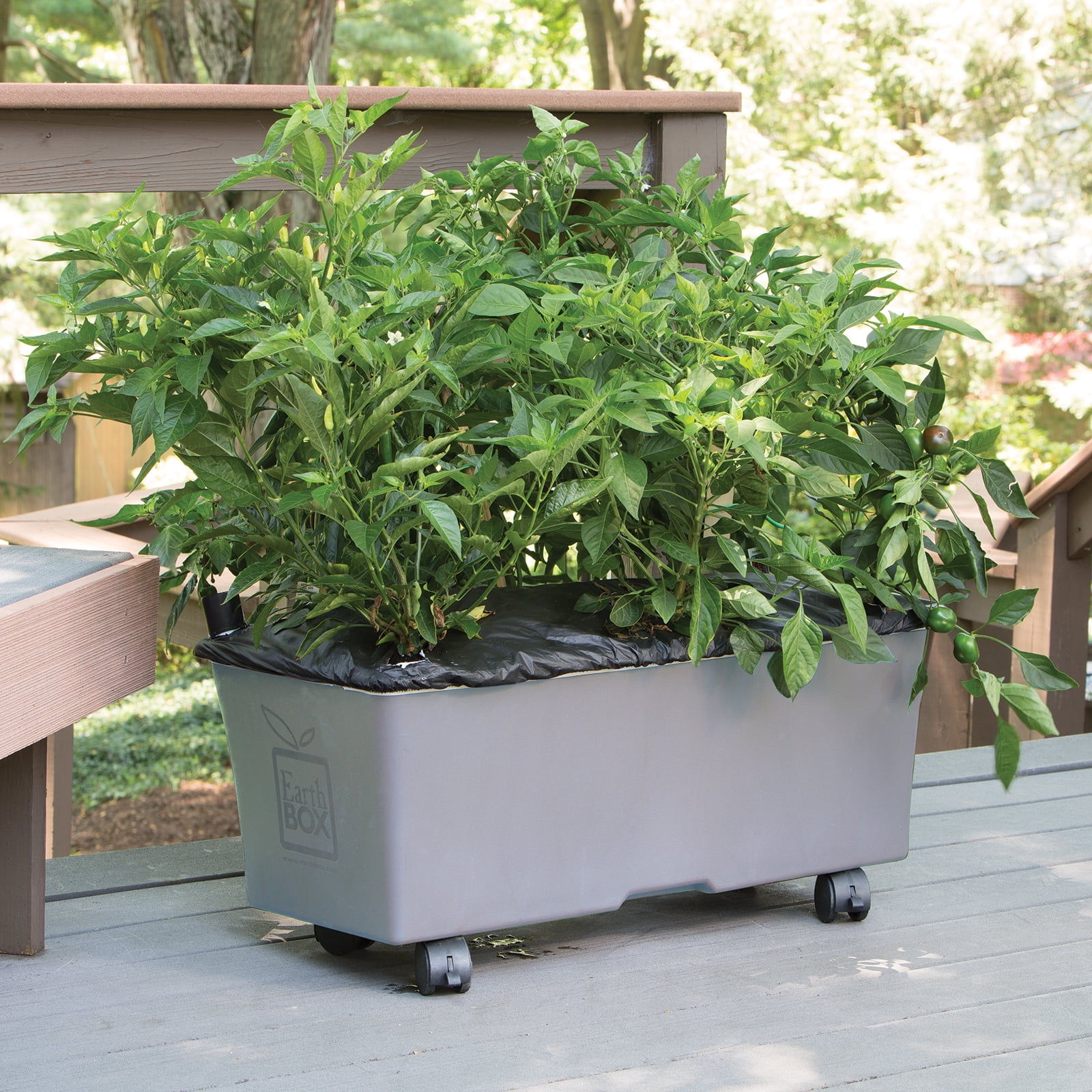 EarthBox Elevated Raised Garden Bed with Legs and Wheels, Self-Watering Planter Box with Premium Plant Food - Gray