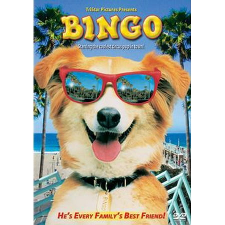Life Picture Bingo - Bingo (DVD)