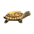 thumbnail image 4 of Maceta de resina con forma de tortuga, soporte para flores, decoración de jardín, estatua, maceta para exterior, porche, casa, oficina, exterior, 4 of 9