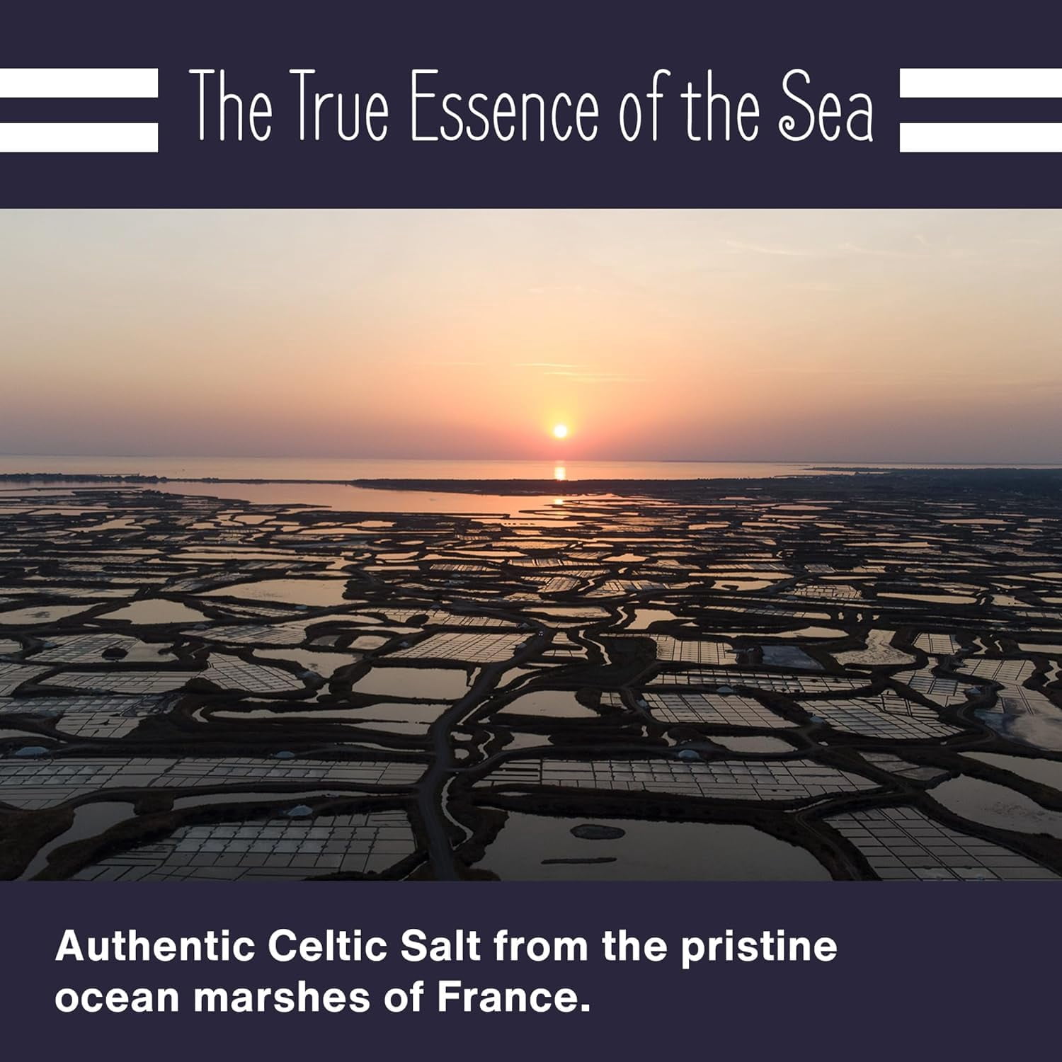 Le Marinier Celtic Salt Organic Grey Coarse, 5lb Mineral Rich 100% Natural and Unrefined French Sea Salt Organic. Hand Harvested Mineral Sea Salt, Sal Celtica Organica, Sel Gris (5lb Grey Coarse)