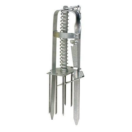 Mole Gel - Mole Trap With Plunger