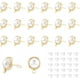 thumbnail image 1 of 20 piezas de accesorios para aretes de perla, aretes de latón chapados en oro de 18 quilates, aretes de perla de imitación de plástico, aretes de media caña con 40 tuercas de plástico para aretes., 1 of 7