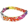 thumbnail image 3 of Country Brook Petz® Premium Trippy Doggo Dog Collar and Leash, Small, 3 of 5