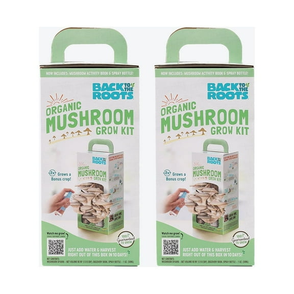 Back to the Roots Organic Pearl Oyster Mini Mushrooms Gardening Spawn Grow Kit, 2 Kits