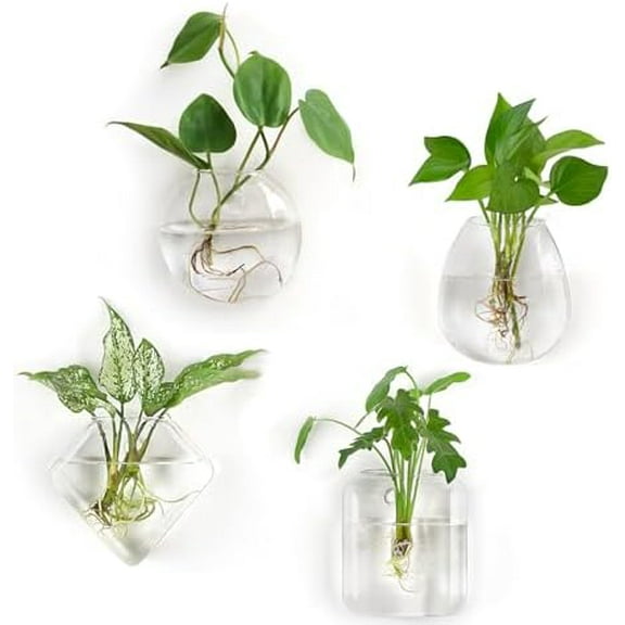 Propagation Wall Hanging Planter Glass Terrarium Flower Vases Holder for Indoor Plants, Home Living Room Office Decor Plant Lover Gifts, Set of 4