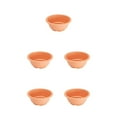 thumbnail image 3 of Maceta para suculentas Inteprter bandeja para flores accesorio transpirable para bricolaje naranja Negro Transparente, 3 of 6