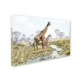 thumbnail image 2 of Trademark Fine Art 'Giraffe' Canvas Art by The Macneil Studio, 2 of 3