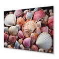 thumbnail image 2 of Designart "Pink White Shells Seashore composition I" Animals Metal Art Print, 2 of 5