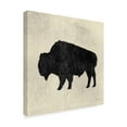 thumbnail image 2 of Trademark Fine Art 'Neutral Lodge II v2' Canvas Art by James Wiens, 2 of 3